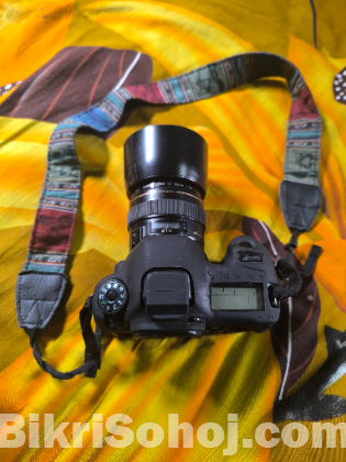 Canon 6D with 85mm Lens